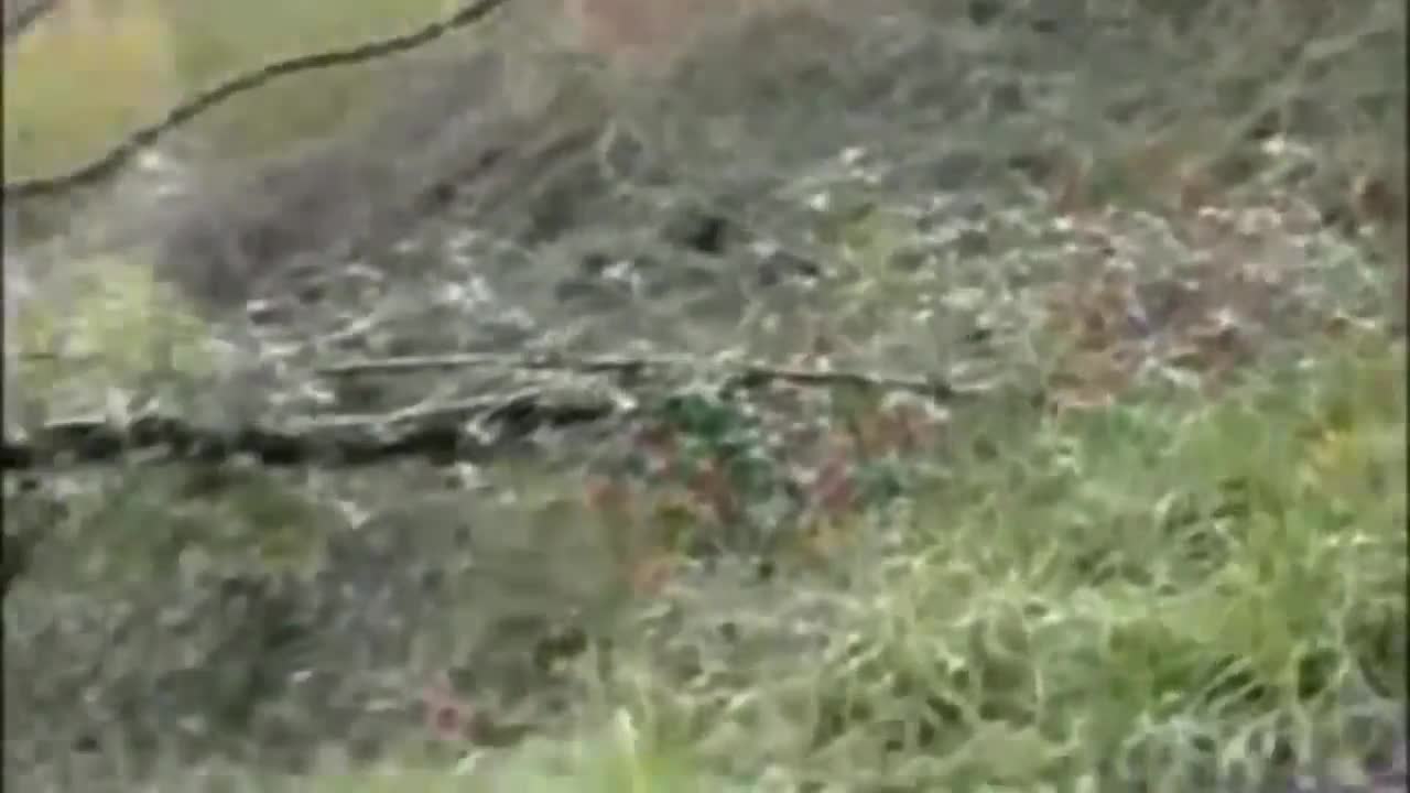 THE WORST ACCIDENTS OF RALLY THAT YOU HAVE SEENπ±π±π±π±π±