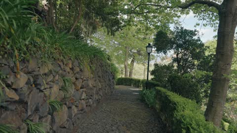 Walking in the nature park