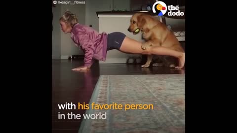 Dog disturbing owner