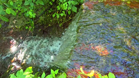 Small waterfall in the forest / waterfall with fresh clear water.