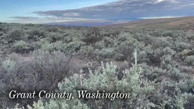 Tiny Rabbits in Big Trouble_ Recovering the Columbia Basin Pygmy Rabbit_1