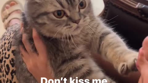 Don't kiss me girl.. 😾😾