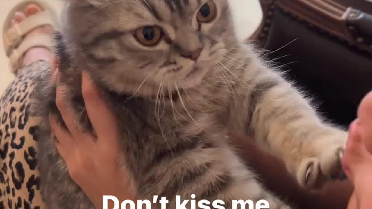 Don't kiss me girl.. 😾😾