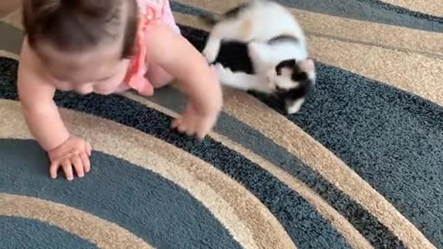 Baby playfully gets into a Cat fight 🧸