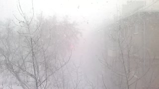 Blizzard in the city