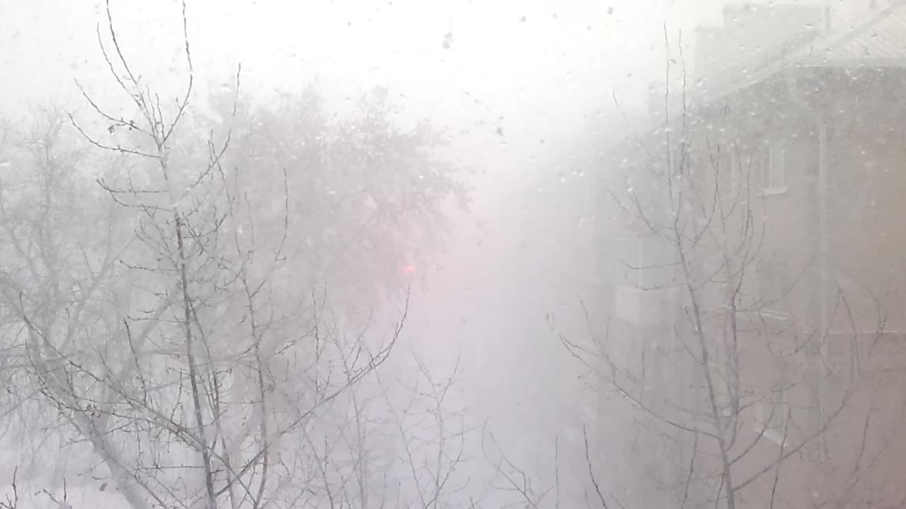 Blizzard in the city