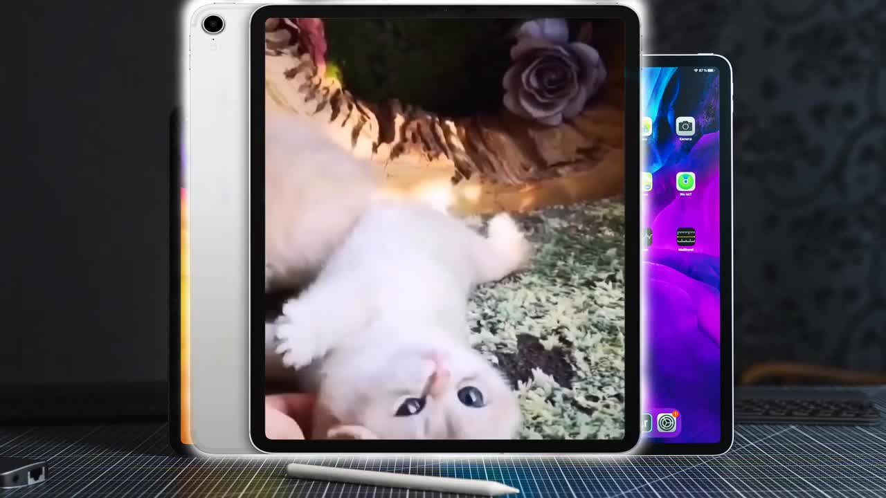 cute and funny cats and dogs compilation,,,,'