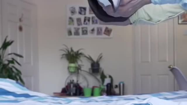Dogs Can Land on their Feet Too ---- Nope it Wont!