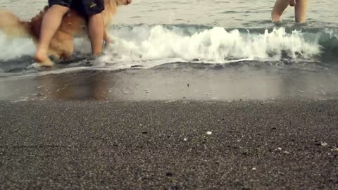 Dog and its owners on the seashore