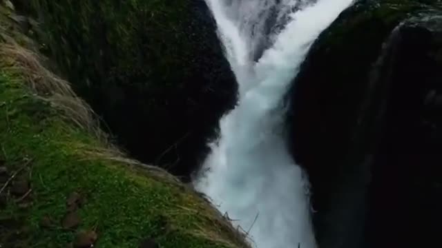 One of the most unique waterfalls in Oregon ( US State ) 🍃💚