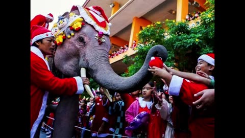 Photos How Christmas was celebrated from Australia to America