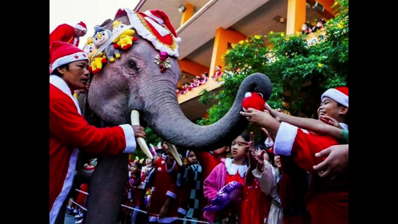 Photos How Christmas was celebrated from Australia to America