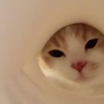 My face is not round! (Yeolmu's expression is too serious.