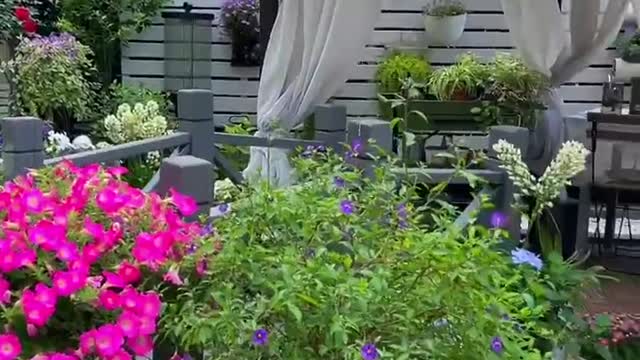 Flowers and plants, there are mountains and water