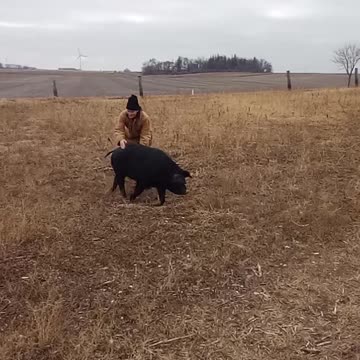 A Winter Walk With Charlotte