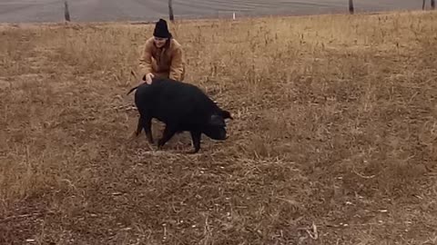 A Winter Walk With Charlotte