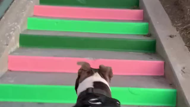 Winsy walking