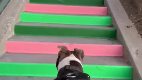 Winsy walking