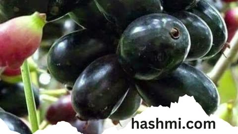 Three great benefits of eating Jamun