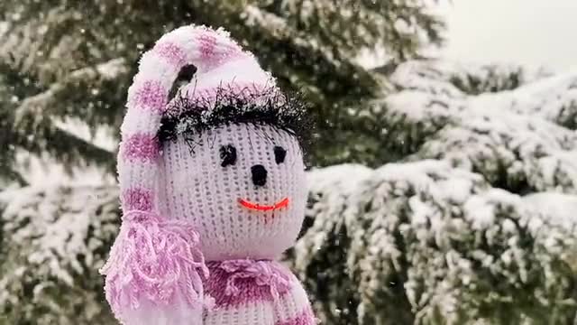 Snowing in the forest