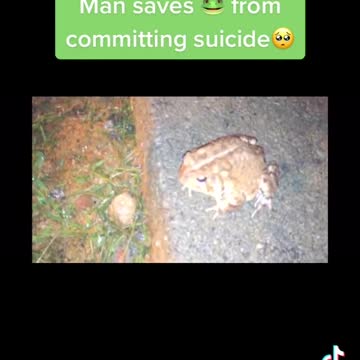 He saved frog life 🤣🤣