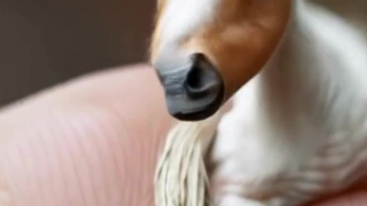 cute