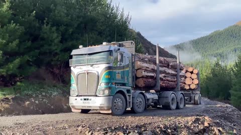 Log Trucks 2024 NEW ZEALAND!