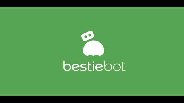Setting up your Bestie I from Bestie Bot