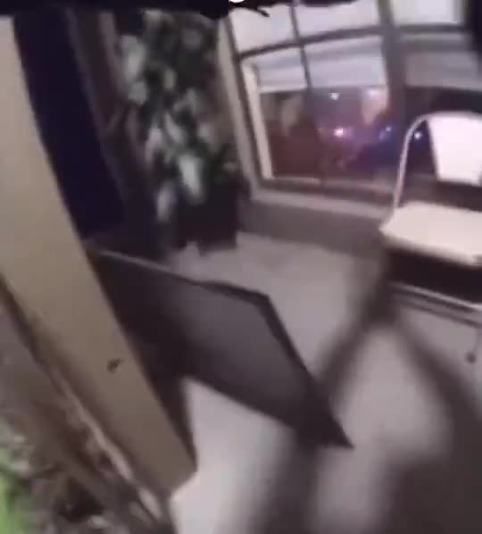 Two female Police officers open fire on a homeowner mistaking her for an intruder