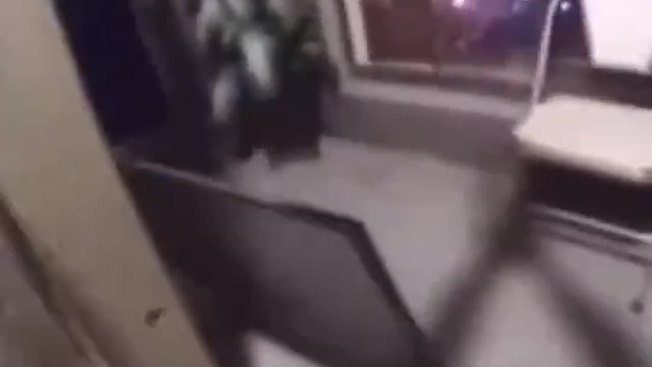 Two female Police officers open fire on a homeowner mistaking her for an intruder