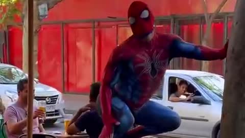 This is a spider