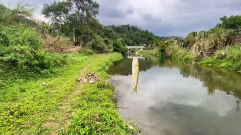 Weekend fishing