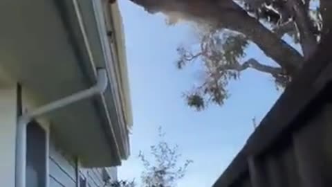 Don't Worry , I Can Do It Myself