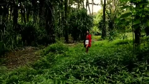 Relaxing Music | Sleeping, Meditation, Stress Relief | [1549] ⭐️