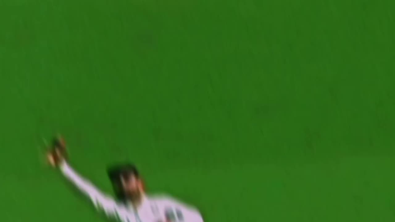 Ryb
