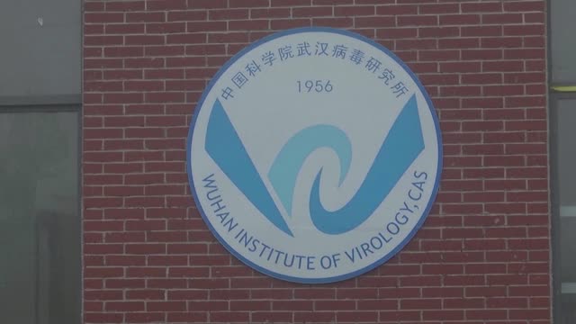 WHO team visits virology institute in Wuhan