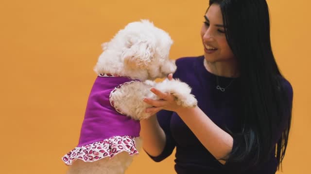 new animal small dog and girl animal funny video