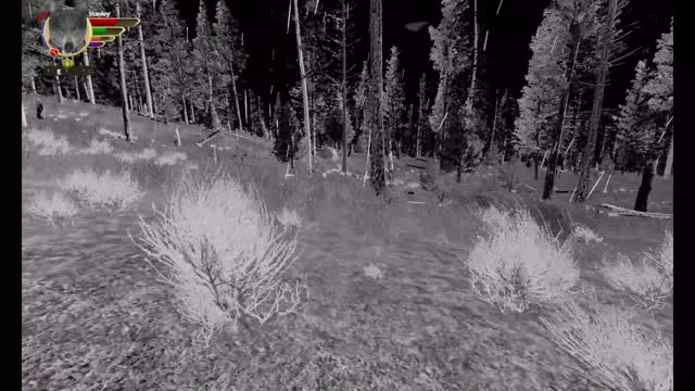 WolfQuest AE Elk Round Challenge - 18