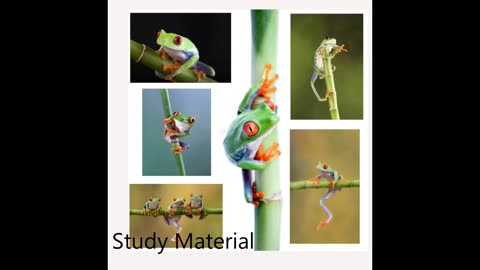 study material