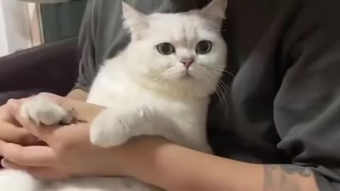 Yes Please