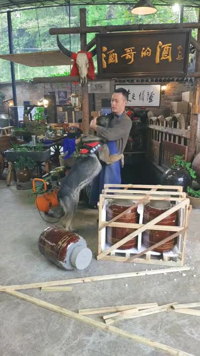 A helpful dog makes his owner happy