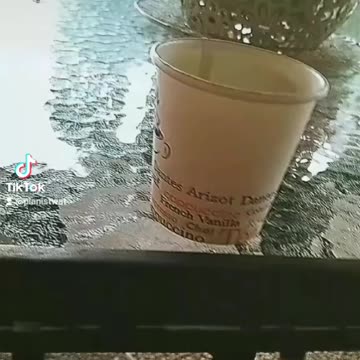 Summer Vibes In Palestine