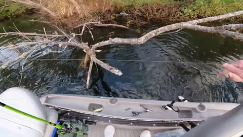 Catching GIANT Bass on FROGS in SMALL Pond!!!