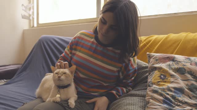 a women sits on a couch and pets a cat - Funny and Cute Cat Life