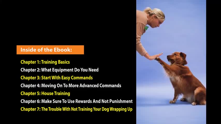 Dog training