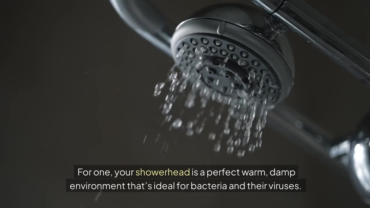 Why Your Showerhead and Toothbrush Are Full of Viruses (And Why That’s a Good Thing! ?