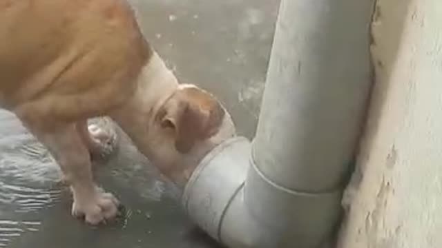 Playing with water is just as simple