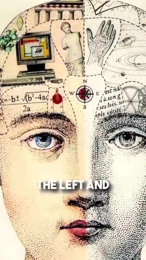 NAŠE TELO DELUJE PREK ENOSMERNEGA TOKA by matej rotovnik