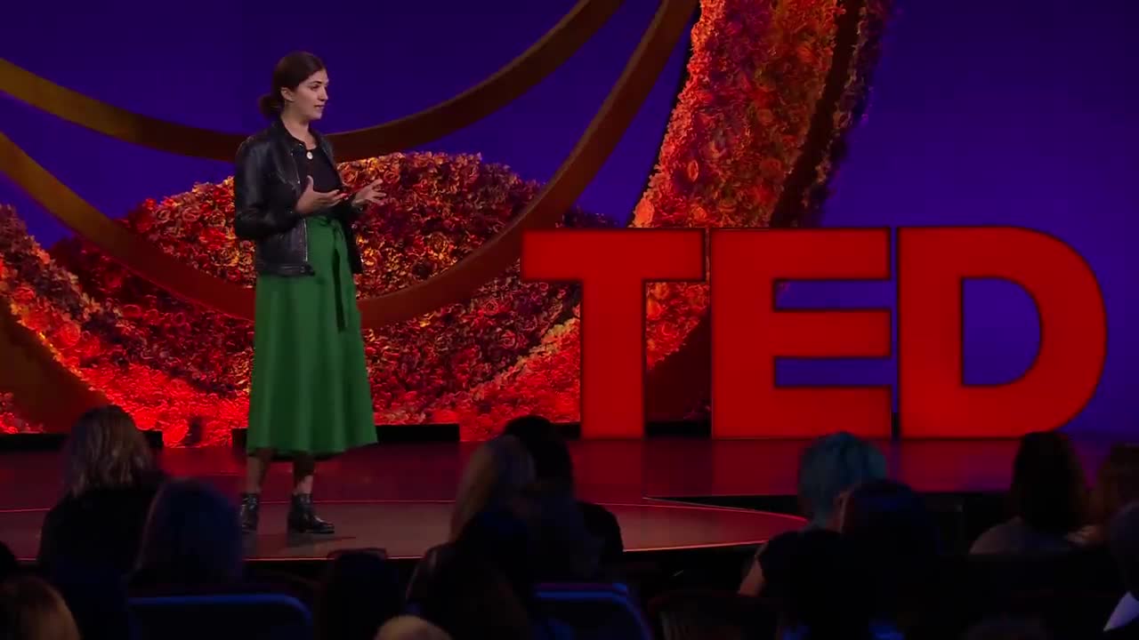 What It's Like To Be a War Refugee | Zarlasht Halaimzai | TED