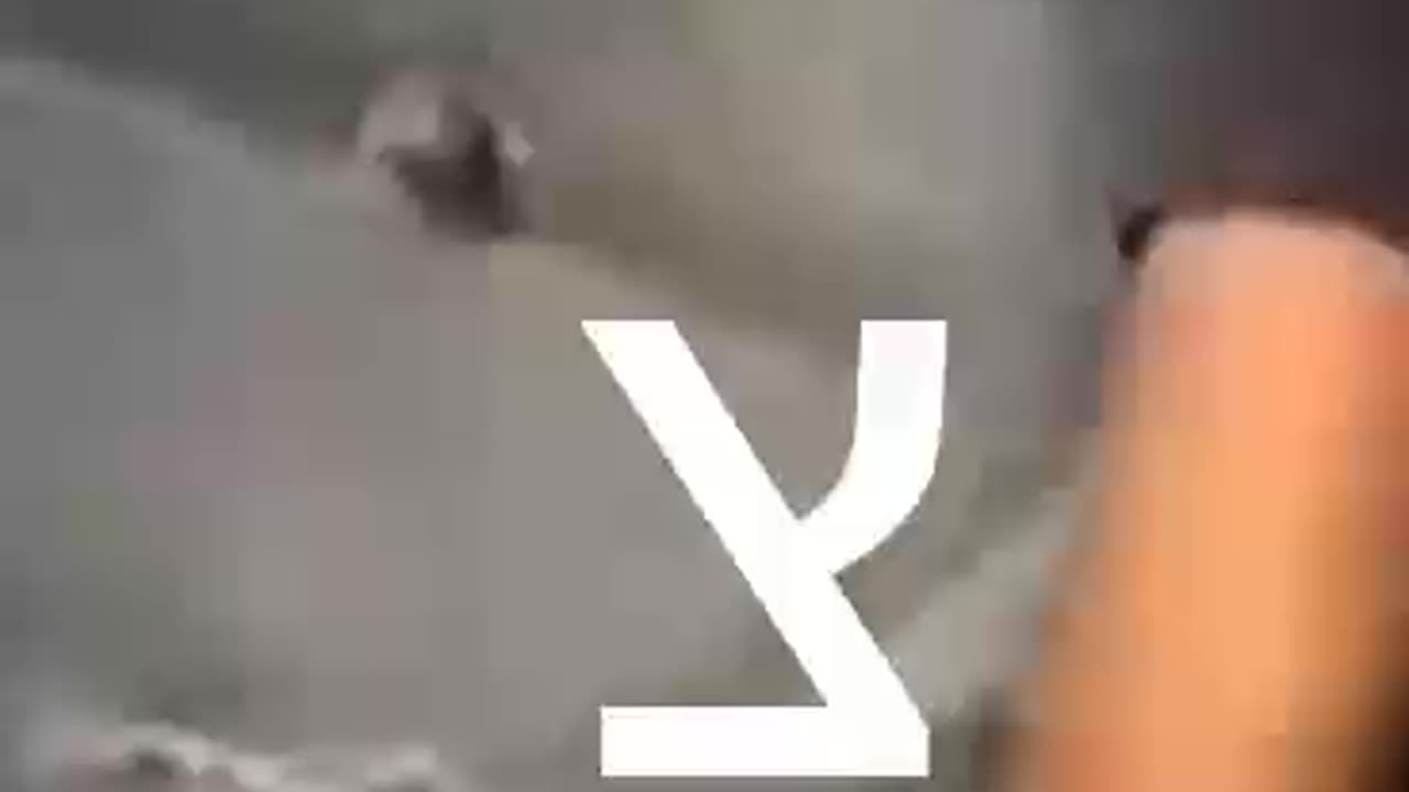 חטיפת התצפיתנית נעמה לוי